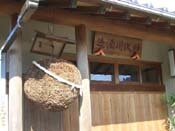 ��������̐���