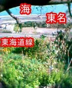 �����낵���Ƃ���