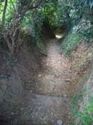 ���Ñ��̏b��