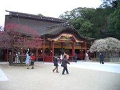 ���ɕ{�V���{