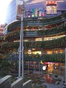 �L���i���V�e�B�̒���H