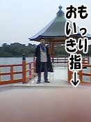 �半������