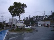 ���ˍ�w����̂Ȃ���