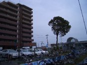 ���ˍ�w�O�̃}���V����