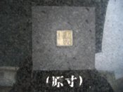 ���� ����