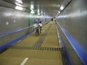 �Ȃ�ƃJ�u�܂ő���