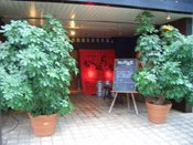 �Ȃ�`���܉�