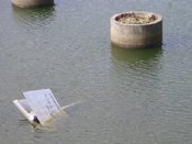 �Ŕ�����ł�.....